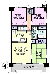 ハイネス北柏【10階】の間取り