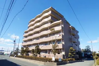 コスモスの画像
