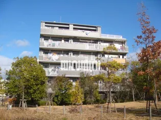 VITA NORITAKEの画像