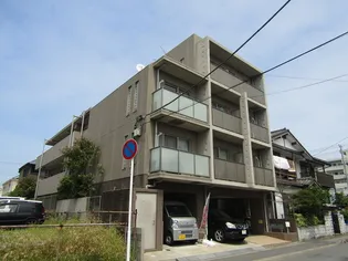 ウェルツK Sの画像