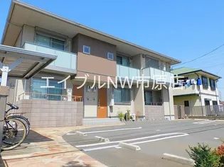 チェルシーの画像