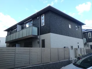 カッシーナSの画像