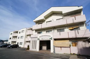 竜王プレジオの画像