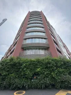 シティカレント南青山【12階】の外観