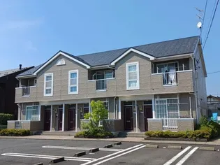 サンフローラの画像