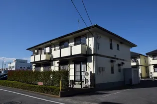 パインツリーCの画像