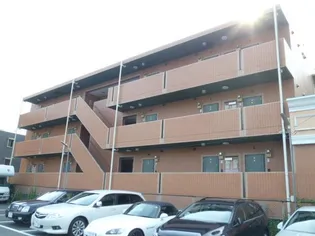 志幸27 DOMINIの画像