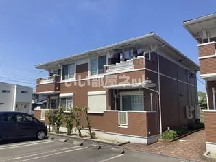 ミルト Cの画像