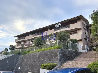 アート フル保土ヶ谷の画像