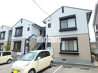 カモミールDの画像