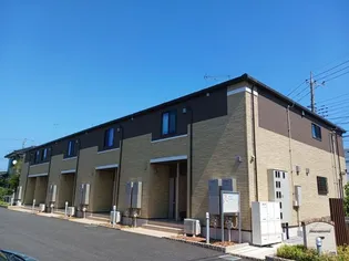 ドリームメイプルツリーIIの画像