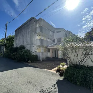 カサブランカNの画像