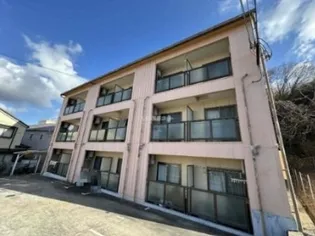ハイツヤマネ【3階】の外観