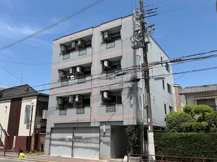ウィルコートの画像