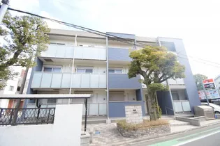 ミランダカンパニュラの画像