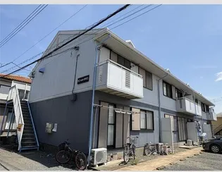 サニーヒルカネコの画像