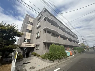 グローサーベアの画像