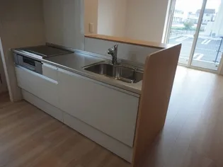 ネオシャトー A棟【1階】のキッチン