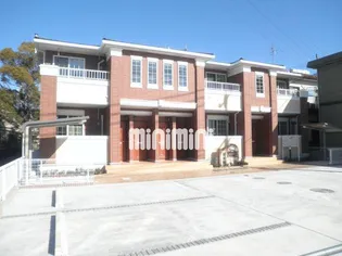 カレントひまわりの画像