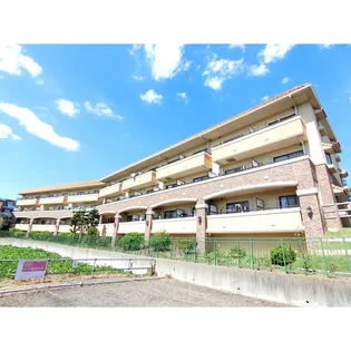 マリーズガーデンの画像