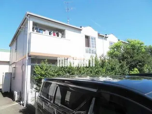 サンフラワー Bの画像