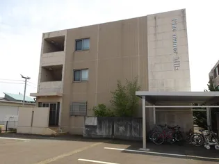 Pine manor hills(パインマナーヒルズ)【3階】の外観