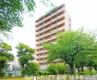 ニューガイアリルーム九大病院前NO 66の画像