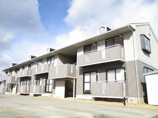 サンライズスズキの画像