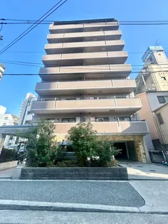 GATHERIA PACEの画像