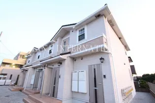 プリムローズの画像