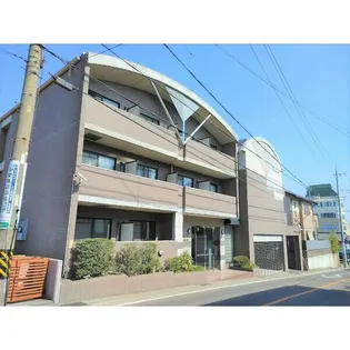 パピリオ 花の木の画像