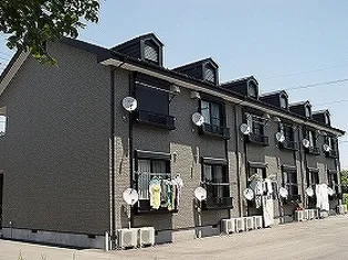 DIグレースIIの画像