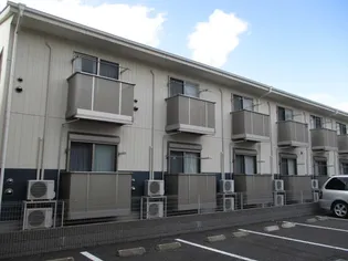 アムール優の画像