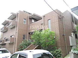 トリフォリウムの画像