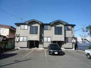 メープルIIの画像