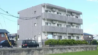 アンジュールの画像