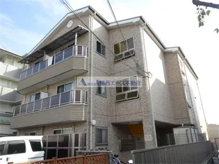 プルメリアコートの画像