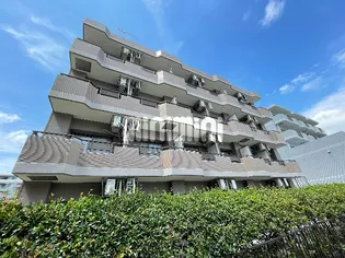 ラ ネージュIIの画像