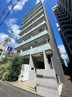 OLIVE UN ARBRE TOKIWAの画像