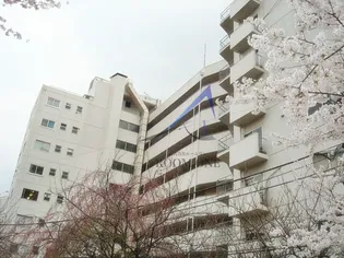 六本木ハイツの画像