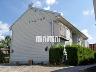 タウニー60の画像