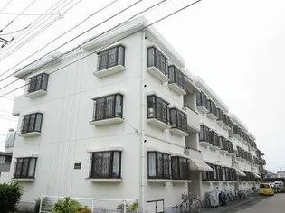 ルミエール湘南の画像