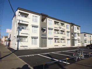 ステラコートの画像