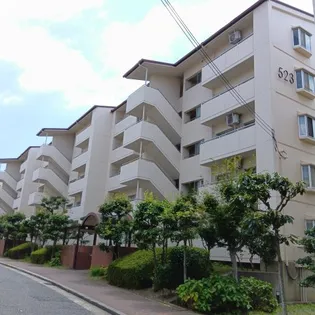 研究学園5団地 523号棟の画像