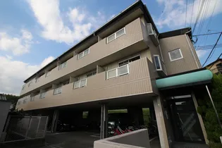 ソルフェリセスの画像