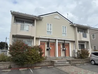 カメリアAの画像