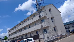 フェイバリッチの画像