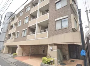 セーナ中野の画像