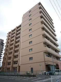 サウスコート【5階】の外観