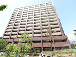 リーザス南千里の画像